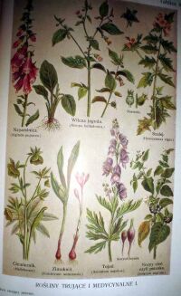 SPRINGER- LEKARZ RATUJĄCY ZDROWIE t. I-II - OPRAWA WYDAWNICZA - 7