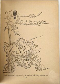 BARRIE - PRZYGODY PIOTRUSIA PANA oprawa artystyczna Warszawa 1938 - 10