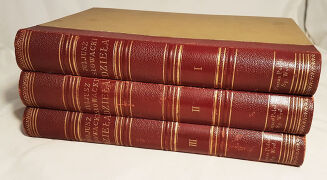 SŁOWACKI- DZIEŁA t.1-3 ZŁOTA OPRAWA  - 3