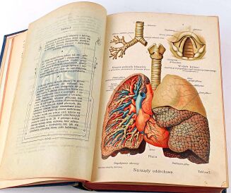 FISCHER-DÜCKELMANN - KOBIETA LEKARKĄ DOMOWĄ wyd. 1908r. secesyjna oprawa - 9