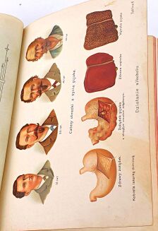 FISCHER-DÜCKELMANN - KOBIETA LEKARKĄ DOMOWĄ wyd. 1908r. secesyjna oprawa - 16