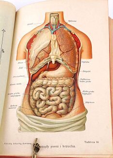 FISCHER-DÜCKELMANN - KOBIETA LEKARKĄ DOMOWĄ wyd. 1908r. secesyjna oprawa - 23