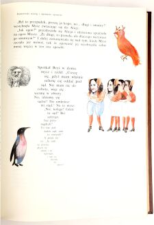 CARROLL - ALICJA W KRAINIE CZARÓW I PO DRUGIEJ STRONIE LUSTRA oprawa artystyczna SKÓRA - 15