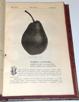 OGRODNICTWO rocznik XVI - 4