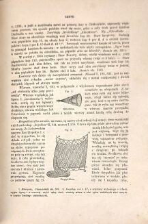 [JEDNO Z NAJWAŻNIEJSZYCH ŹRÓDEŁ PIŚMIENNYCH DO HISTORII WIELKOPOLSKIŁASKI] ŁASKI - LIBER BENEFICIORUM ARCHIDIECEZJI GNIEŹNIEŃSKIEJ t.2, mapa - 6