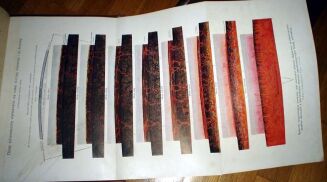 KREMER- WSZECHŚWIAT I CZŁOWIEK wyd. 1905r. KOMPLET I-V setki ilustracji - 15