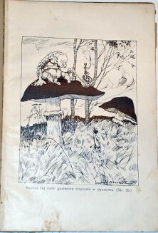 CARROLL - ALA W KRAINIE CZARÓW 2 wyd. ilustr. Mackiewicza - 3