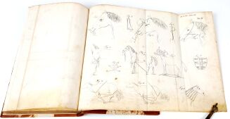 KUROWSKI- WETERYNARYA POPULARNA 1847 ryciny - 10