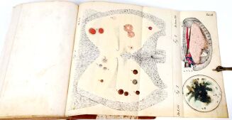 KUROWSKI- WETERYNARYA POPULARNA 1847 ryciny - 11