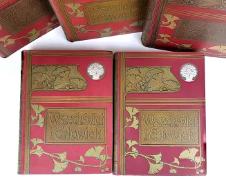 KREMER- WSZECHŚWIAT I CZŁOWIEK wyd. 1905r. t.1-5 [komplet w 5 wol.] setki ilustracji, piękny stan - 3