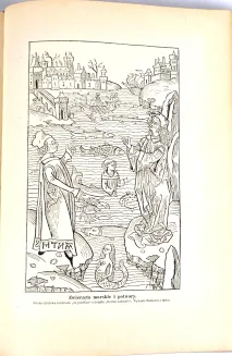 KREMER- WSZECHŚWIAT I CZŁOWIEK wyd. 1905r. t.1-5 [komplet w 5 wol.] setki ilustracji, piękny stan - 63