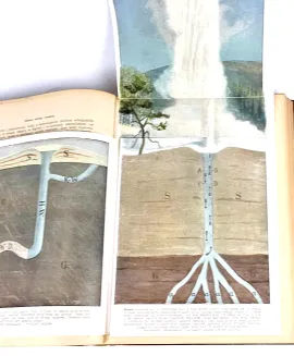 KREMER- WSZECHŚWIAT I CZŁOWIEK wyd. 1905r. t.1-5 [komplet w 5 wol.] setki ilustracji, piękny stan - 15