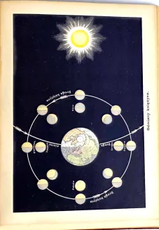 KREMER- WSZECHŚWIAT I CZŁOWIEK wyd. 1905r. t.1-5 [komplet w 5 wol.] setki ilustracji, piękny stan - 21