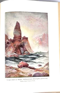 KREMER- WSZECHŚWIAT I CZŁOWIEK wyd. 1905r. t.1-5 [komplet w 5 wol.] setki ilustracji, piękny stan - 24