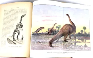 KREMER- WSZECHŚWIAT I CZŁOWIEK wyd. 1905r. t.1-5 [komplet w 5 wol.] setki ilustracji, piękny stan - 30