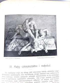 KREMER- WSZECHŚWIAT I CZŁOWIEK wyd. 1905r. t.1-5 [komplet w 5 wol.] setki ilustracji, piękny stan - 31