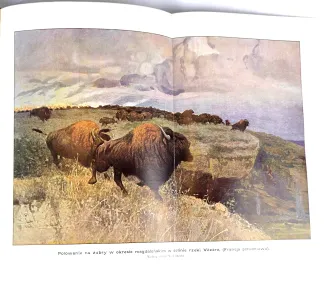 KREMER- WSZECHŚWIAT I CZŁOWIEK wyd. 1905r. t.1-5 [komplet w 5 wol.] setki ilustracji, piękny stan - 32