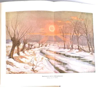 KREMER- WSZECHŚWIAT I CZŁOWIEK wyd. 1905r. t.1-5 [komplet w 5 wol.] setki ilustracji, piękny stan - 37