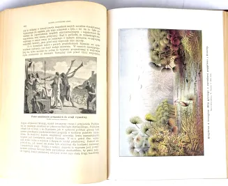 KREMER- WSZECHŚWIAT I CZŁOWIEK wyd. 1905r. t.1-5 [komplet w 5 wol.] setki ilustracji, piękny stan - 45