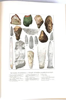 KREMER- WSZECHŚWIAT I CZŁOWIEK wyd. 1905r. t.1-5 [komplet w 5 wol.] setki ilustracji, piękny stan - 47