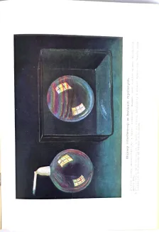 KREMER- WSZECHŚWIAT I CZŁOWIEK wyd. 1905r. t.1-5 [komplet w 5 wol.] setki ilustracji, piękny stan - 51