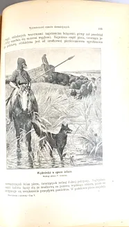 KREMER- WSZECHŚWIAT I CZŁOWIEK wyd. 1905r. t.1-5 [komplet w 5 wol.] setki ilustracji, piękny stan - 35