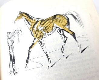 PRUS- LALKA ilustr. Uniechowski skóra - 8