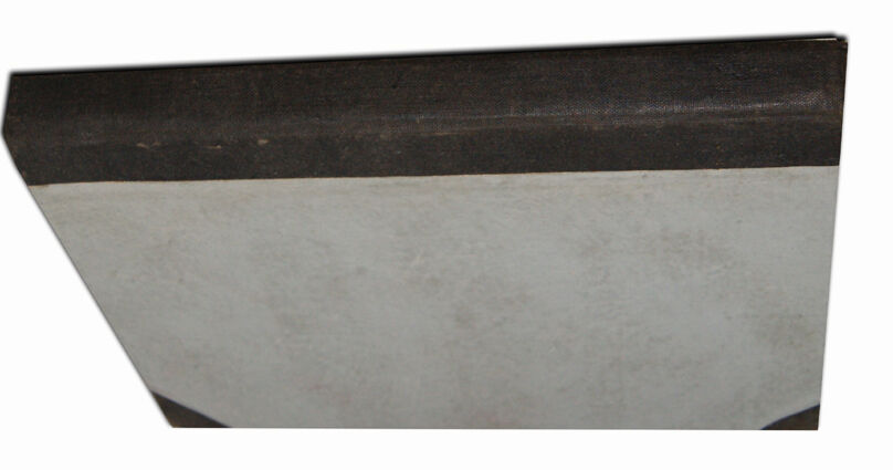 WOJCICKI - Z RODZINNEJ ZAGRODY  Życiorysy 1877r. ryciny