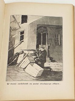 SCHROEDER -  ORLĘTA (Z WALK LWOWSKICH). Z ilustracjami Kamila Mackiewicza. - 7