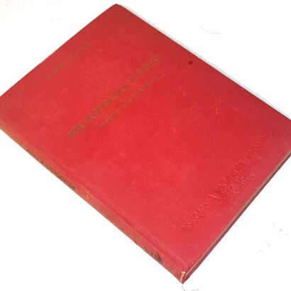 WIELICZKA- WIELKOPOLSKA A PRUSY W DOBIE POWSTANIA 1918/19 wyd.1932