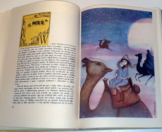 SIENKIEWICZ- W PUSTYNI I W PUSZCZY ilustr. Srokowski wyd. 1967r.  - 6