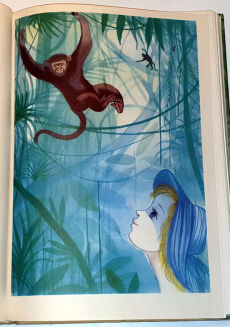 SIENKIEWICZ- W PUSTYNI I W PUSZCZY ilustr. Srokowski wyd. 1967r.  - 7