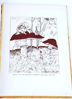 CARROLL - ALICJA W KRAINIE CZARÓW ilustr. Mackiewicza. Pierwsze polskie wydanie! - 7