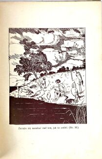 CARROLL - ALICE IN WONDERLAND illustrations by Mackiewicz . First faithful Polish edition! - 6