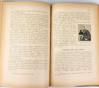 KARWOWSKI - HISTORYA WIELKIEGO KSIĘSTWA POZNAŃSKIEGO 1852-1863. T. 1-3 [komplet w 3 wol.] - 6