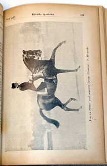 DUNIN-ŻUCHOWSKI - PRZEGLĄD KAWALERYJSKI R.11, 1934 - 10