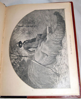 SZTOLCMAN- NAD NILEM NIEBIESKIM. Wyprawa myśliwska Józefa hr. Potockiego do Sudanu. Z Ilustr. J.Rapackiego - 11