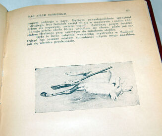 SZTOLCMAN- NAD NILEM NIEBIESKIM. Wyprawa myśliwska Józefa hr. Potockiego do Sudanu. Z Ilustr. J.Rapackiego - 10