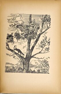 DYAKOWSKI- NASZ LAS I JEGO MIESZKAŃCY wyd. 1939 - 5