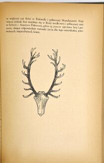 DYAKOWSKI- NASZ LAS I JEGO MIESZKAŃCY wyd. 1939 - 8