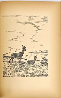 DYAKOWSKI- NASZ LAS I JEGO MIESZKAŃCY wyd. 1939 - 9