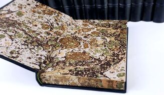 POLSKA ENCYKLOPEDIA SZLACHECKA t. I-XII oryginał skóra - 5