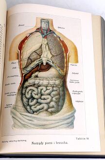 FISHER-DUCKELMANN- KOBIETA LEKARKĄ DOMOWĄ wyd. 1928r. PIĘKNA OPRAWA - 9
