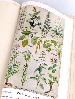 FISHER-DUCKELMANN- KOBIETA LEKARKĄ DOMOWĄ wyd. 1928r. PIĘKNA OPRAWA - 21