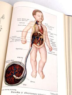 FISHER-DUCKELMANN- KOBIETA LEKARKĄ DOMOWĄ wyd. 1928r. PIĘKNA OPRAWA - 22