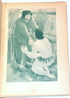 DEFOE - ROBINSON KRUZOE ryciny OPRAWA - 3