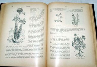 MAKOWIECKI- KWIATY OGRODOWE wyd. 1936 RYCINY - 5