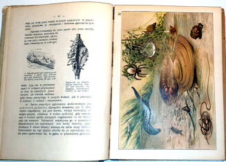 GUSTAWICZ - Z GŁĘBIN WÓD wyd. 1914 barwne chromolitografie - 4