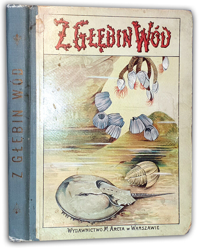 GUSTAWICZ - Z GŁĘBIN WÓD wyd. 1914 barwne chromolitografie