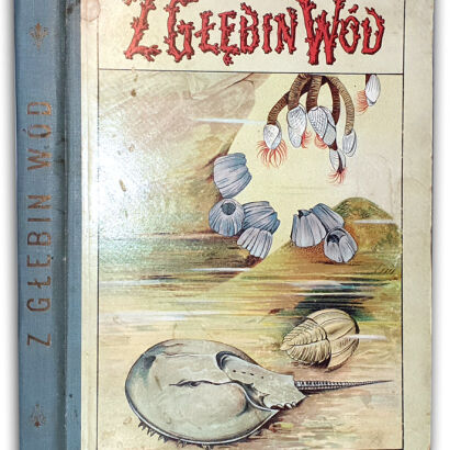 GUSTAWICZ - Z GŁĘBIN WÓD wyd. 1914 barwne chromolitografie